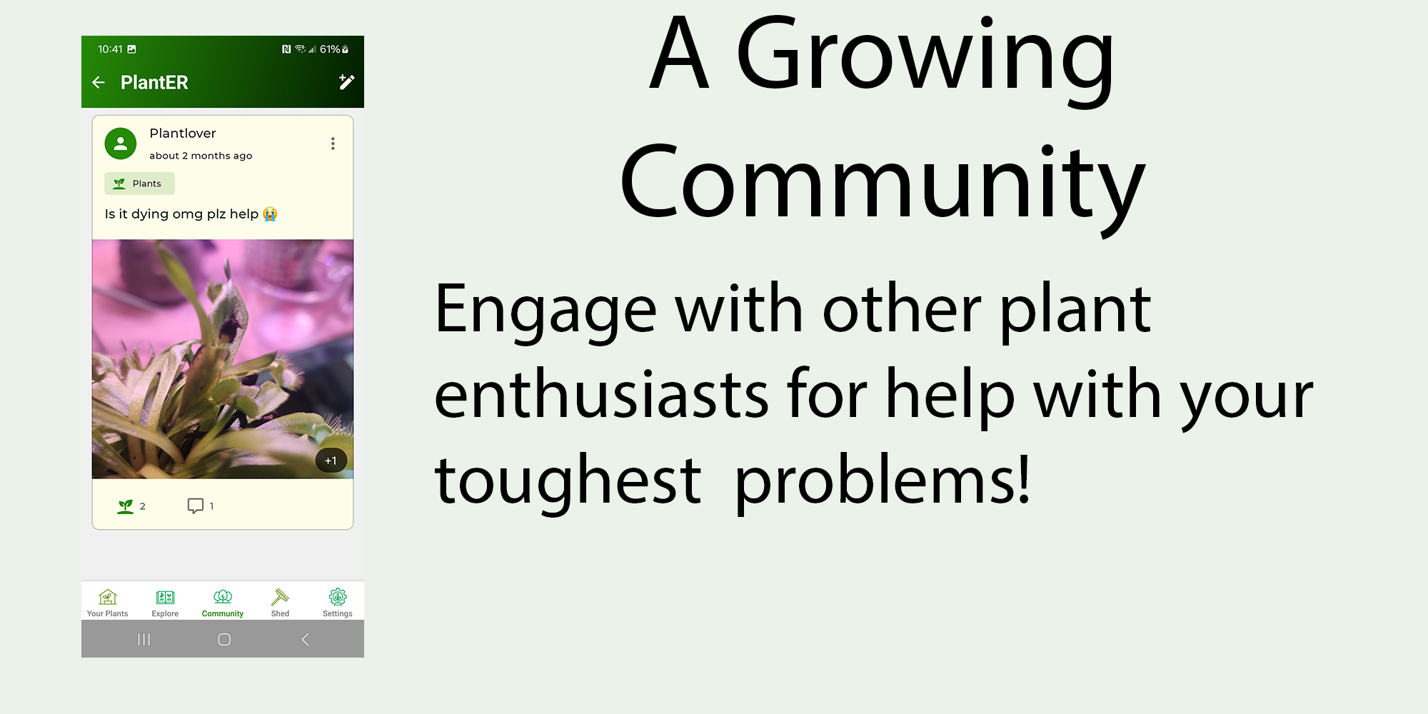 Plant Community